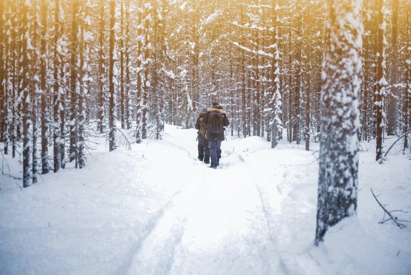 A Five-Night Travel Package for Two to Lapland