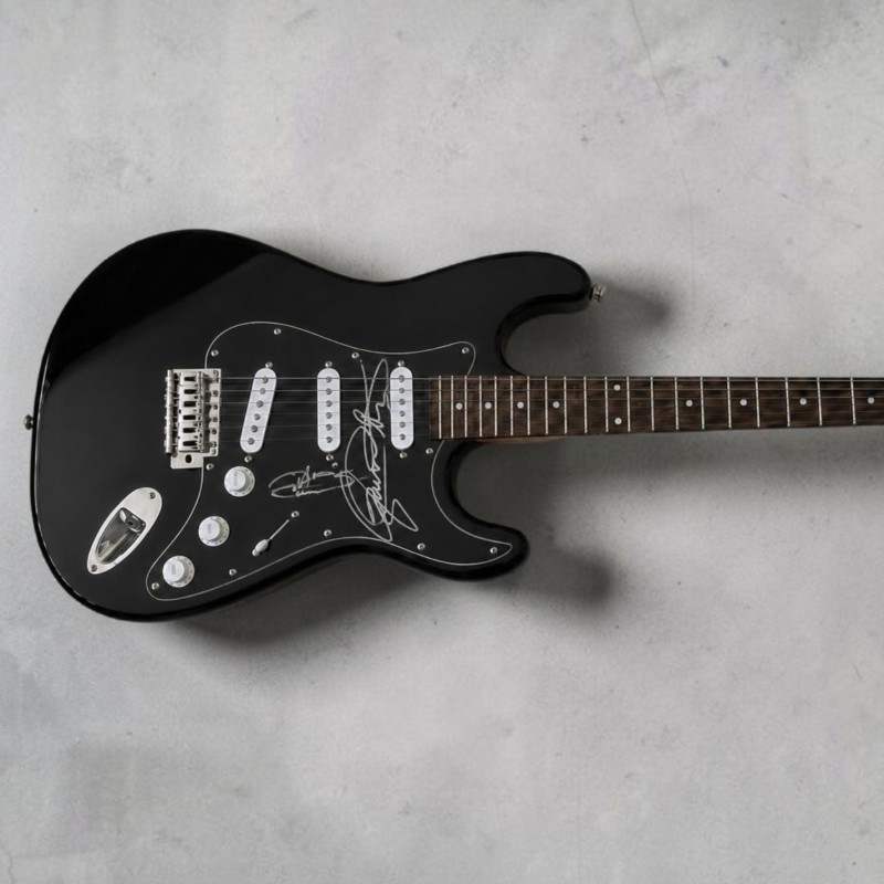 The Who Signed Electric Guitar