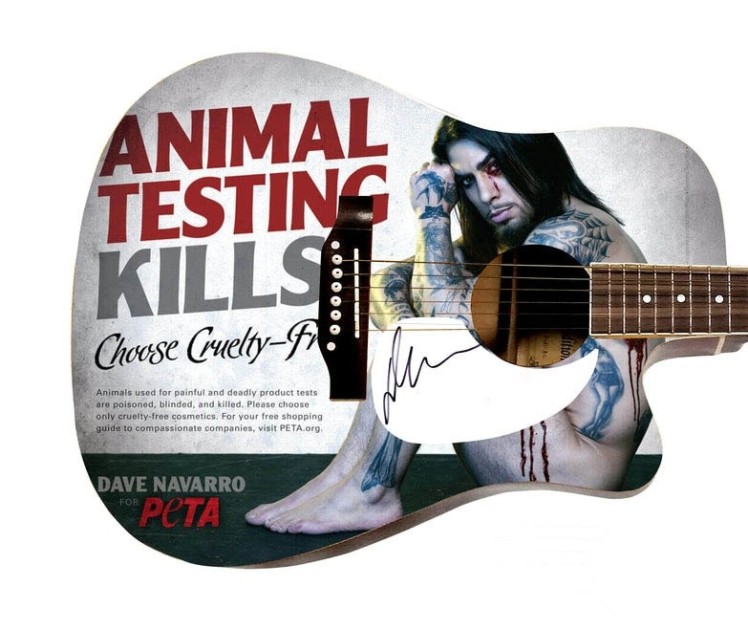Battipenna chitarra acustica personalizzata - Autografato da Dave Navarro dei Jane's Addiction