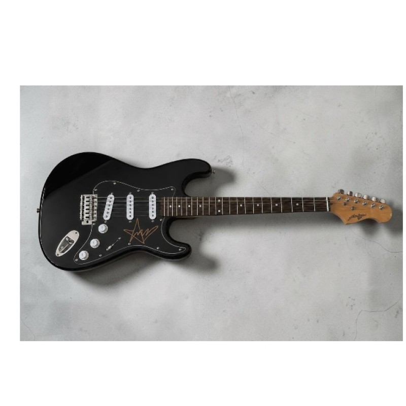 Chitarra elettrica autografata da Chris Cornell dei Soundgarden/Audioslave
