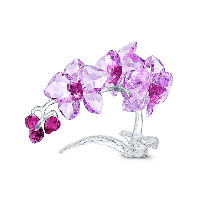 Swarovski - Crystal Orchid