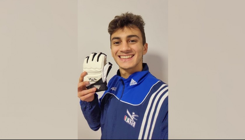 Vito Dell'Aquila's Taekwondo Gloves