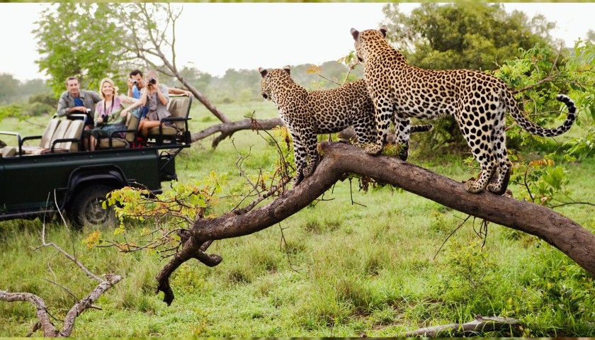 5-Night Stay in a Luxury Safari Camp for 2