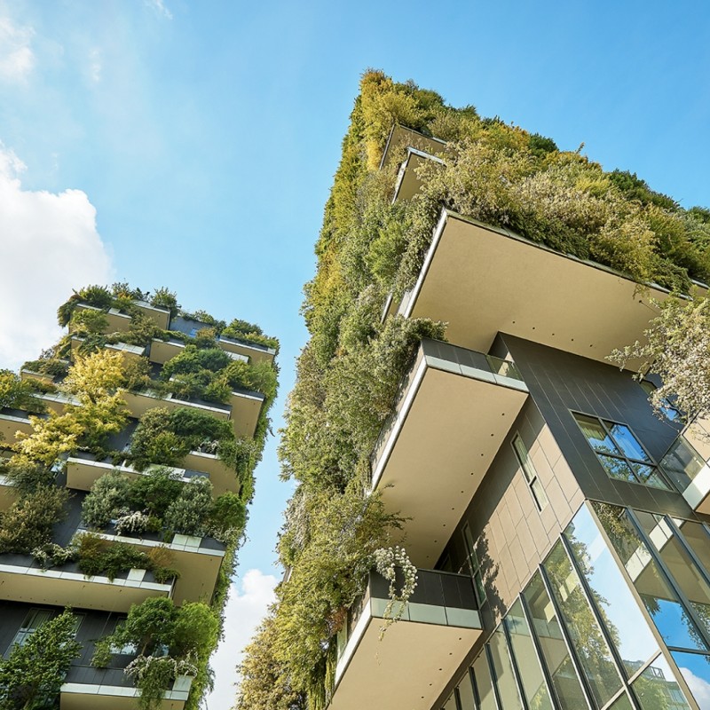 Visita guidata per 4 persone al Bosco Verticale