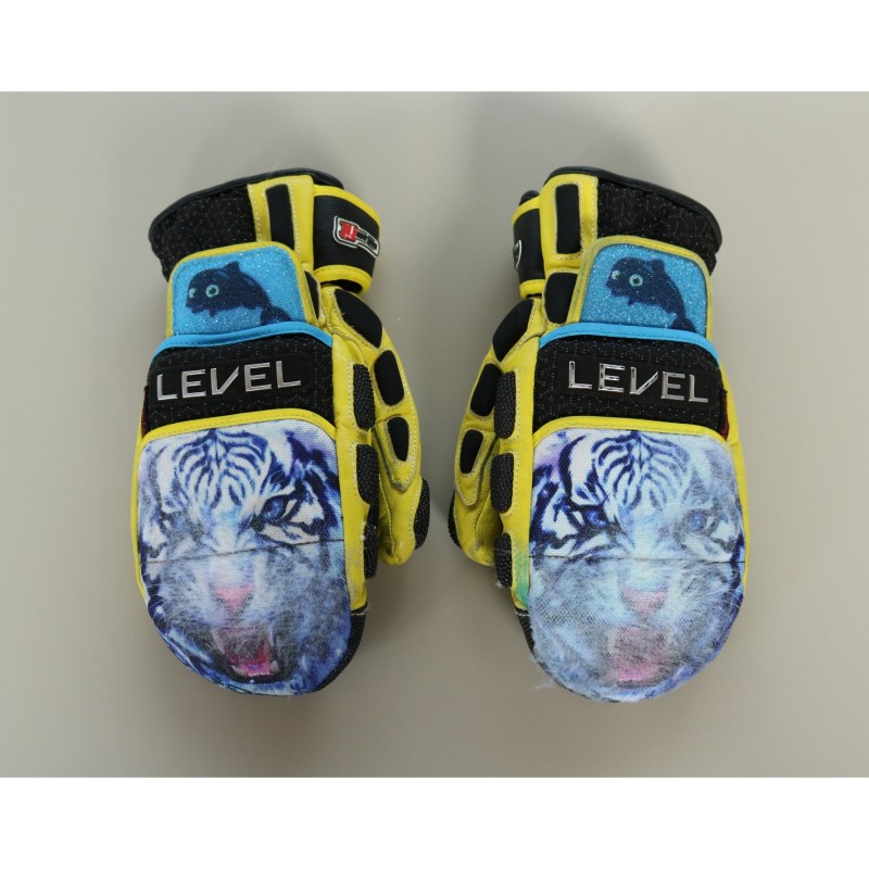 Gloves - Worn and Signed by Federica Brignone