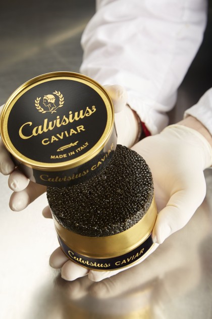 Caviale Tradition Royal Calvisius Caviar