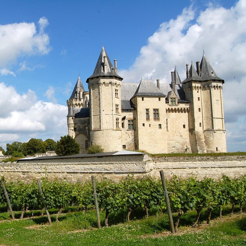 Case of 12 Hand-Selected Loire Valley Wines