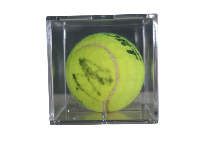 Tennis Ball - Signed by David Ferrer