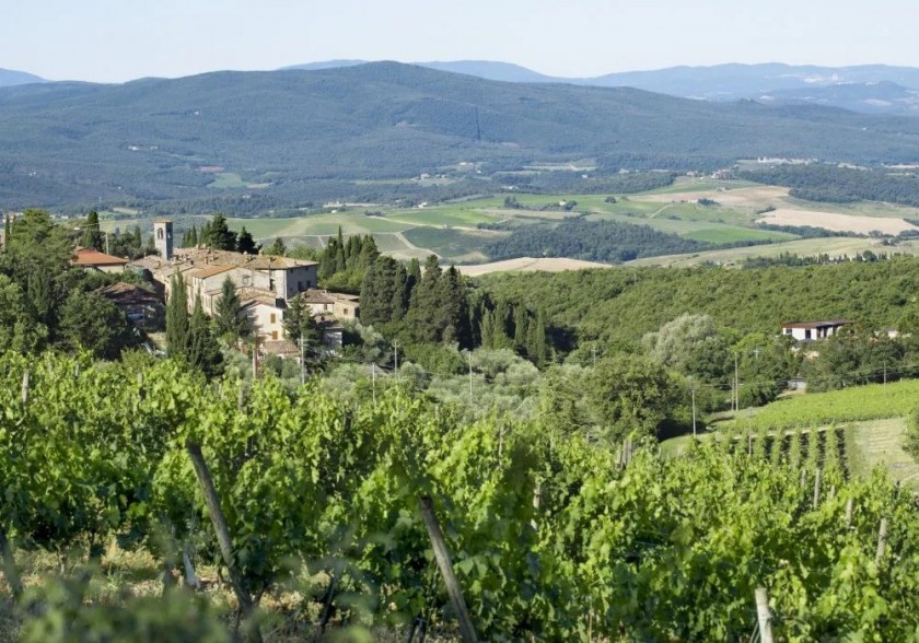 Accommodation, VIP Wine & Food Experience at Castello di Fonterutoli