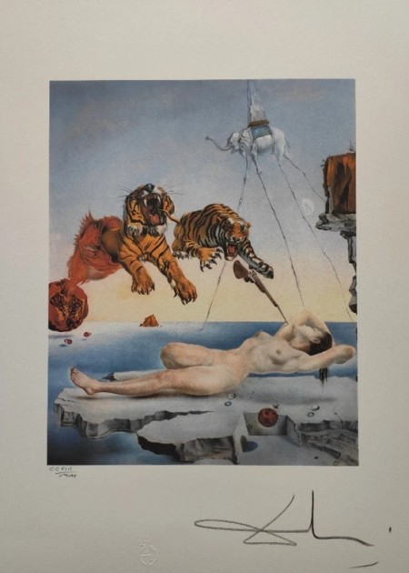 1500, Educa, Dream Caused by the Flight of a Bee Around a Pomegranate a  Second Before Awakening, Salvador Dalí - Rare Puzzles