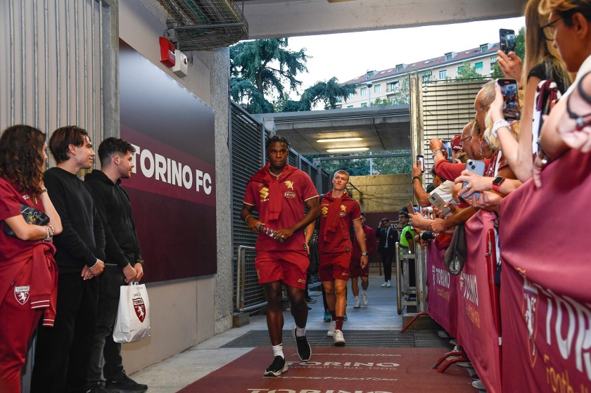 Enjoy the Torino vs Milan Match from the Granata Stand + Walkabout
