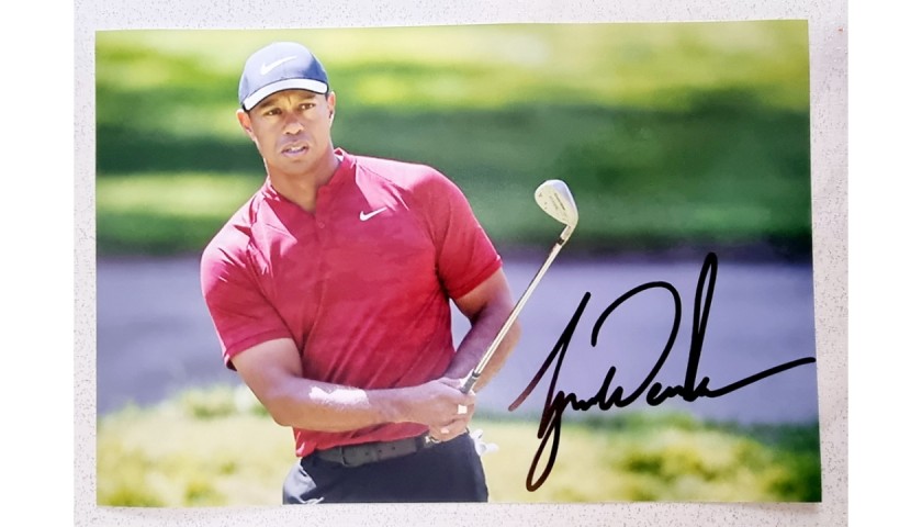 Tiger Woods Signed Photograph