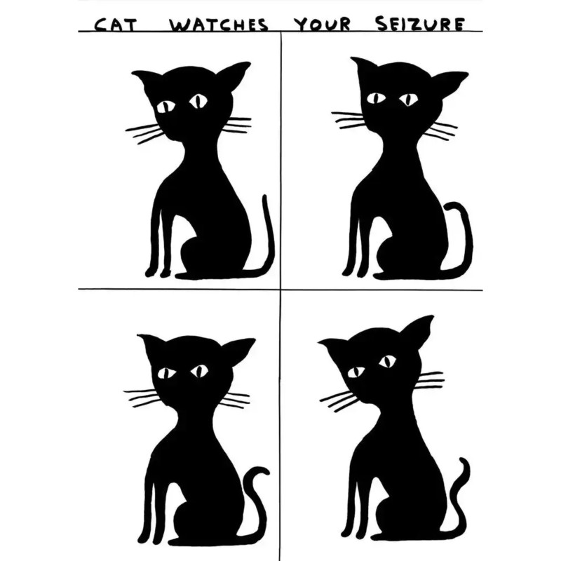 "Untitled (Cat Watches Your Seizure)" by David Shrigley