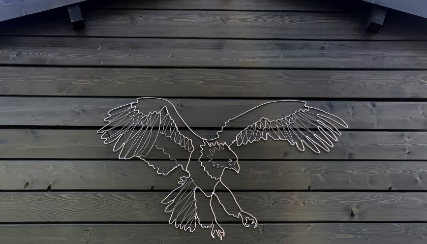 Wire Sculpture (unique piece) - Bald Eagle