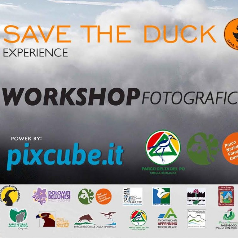 Save the Duck experience