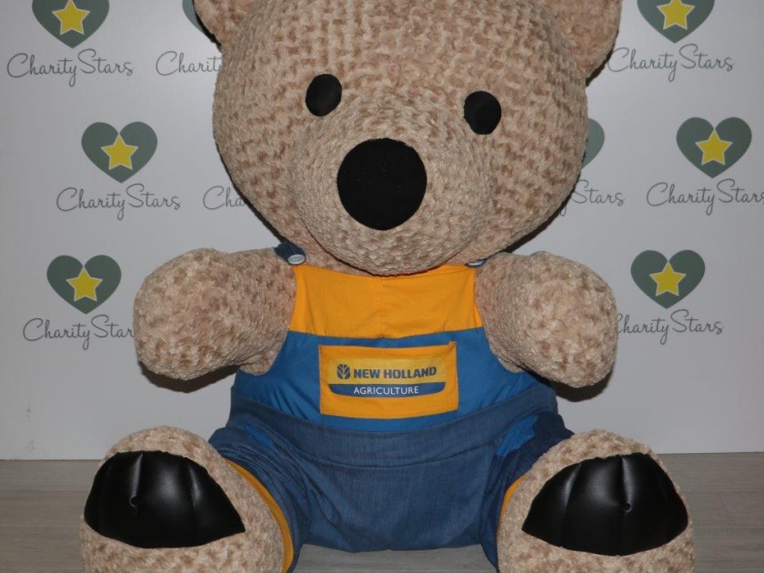 Maxi bear peluche, Telethon's mascot