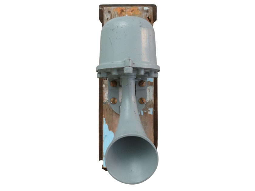 Grey Ship's Horn