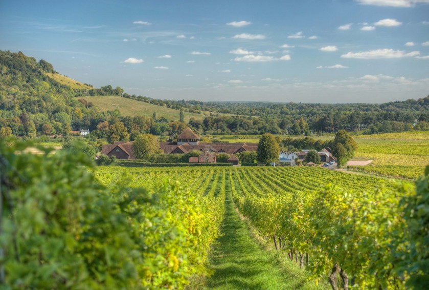 Surrey Hills Stay With Wine Tasting Experience
