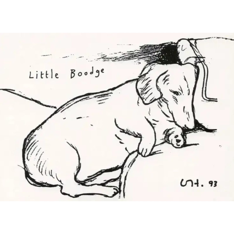 "Little Boodge" opera di David Hockney