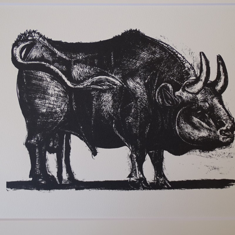 Litografia Bull by Pablo Picasso