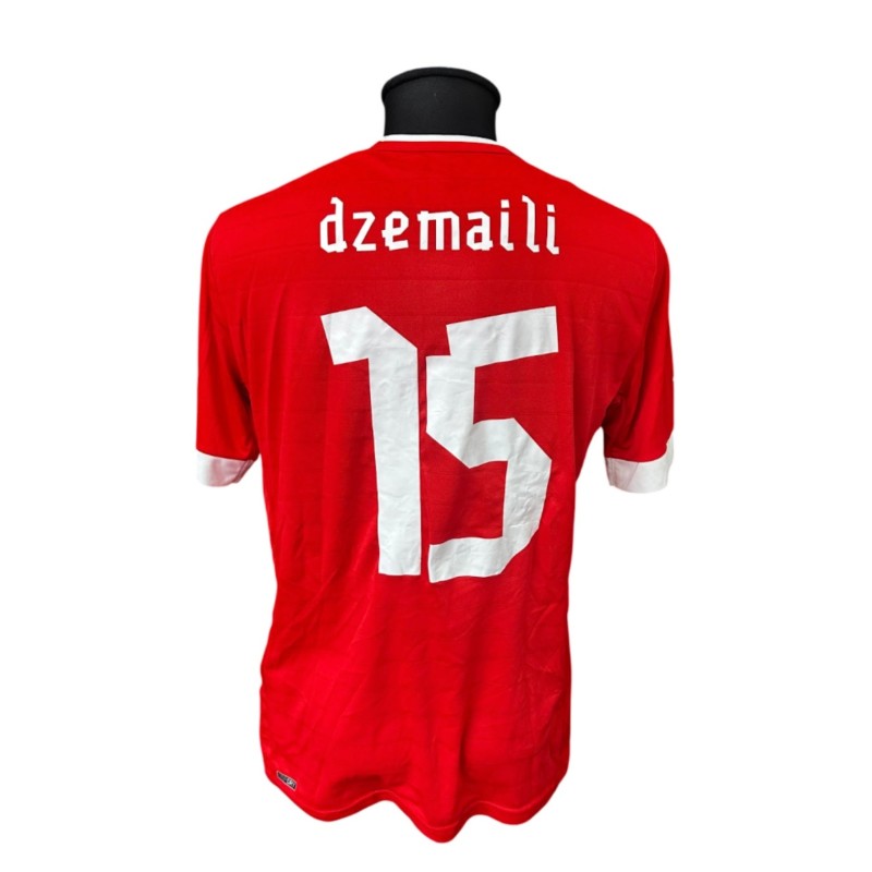 Maglia Indossata Dzemaili Svizzera, 2012/13