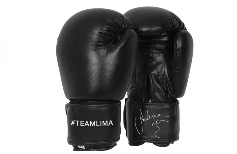 Signed Boxing Gloves