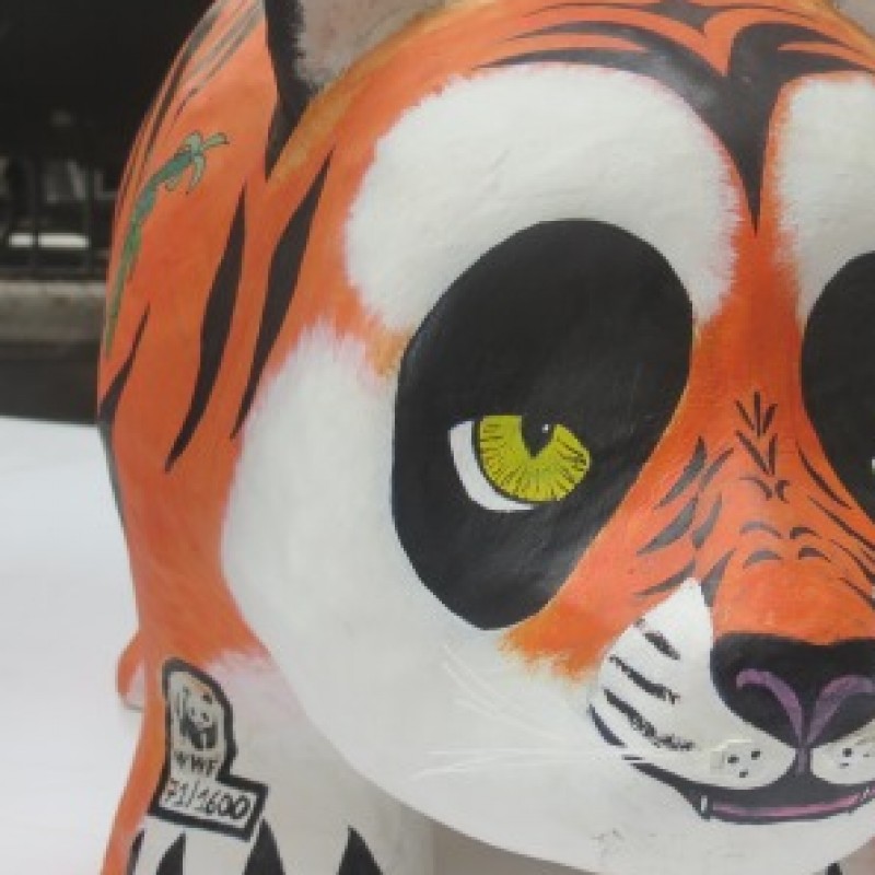 Pandino "Tigre" personalizzato da Sveva Sagramola
