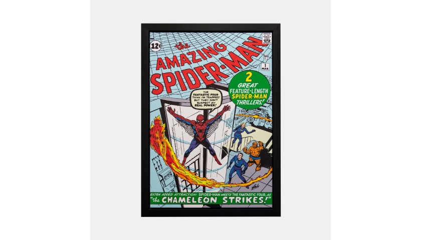 The Amazing Spider-Man #1 "Spider-Man Meets The Fantastic Four!" Signed by Stan Lee Canvas