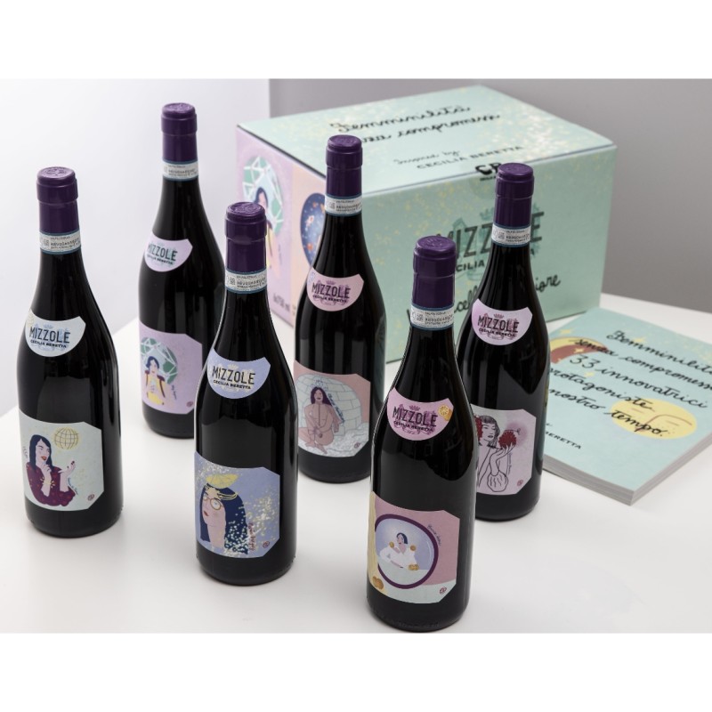 Pasqua Vini - Cartone con 6 Valpolicella doc Superiore Mizzole - “Femminilità senza compromessi” Limited edition