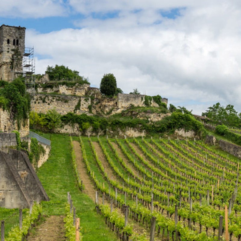 Esclusiva esperienza enologica per due nella zona del Bordeaux