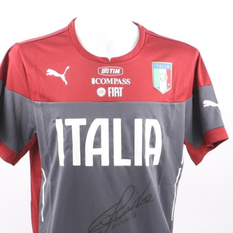 Goalkeeper's Gloves and Captain's Armband Worn and Signed by Handanovic