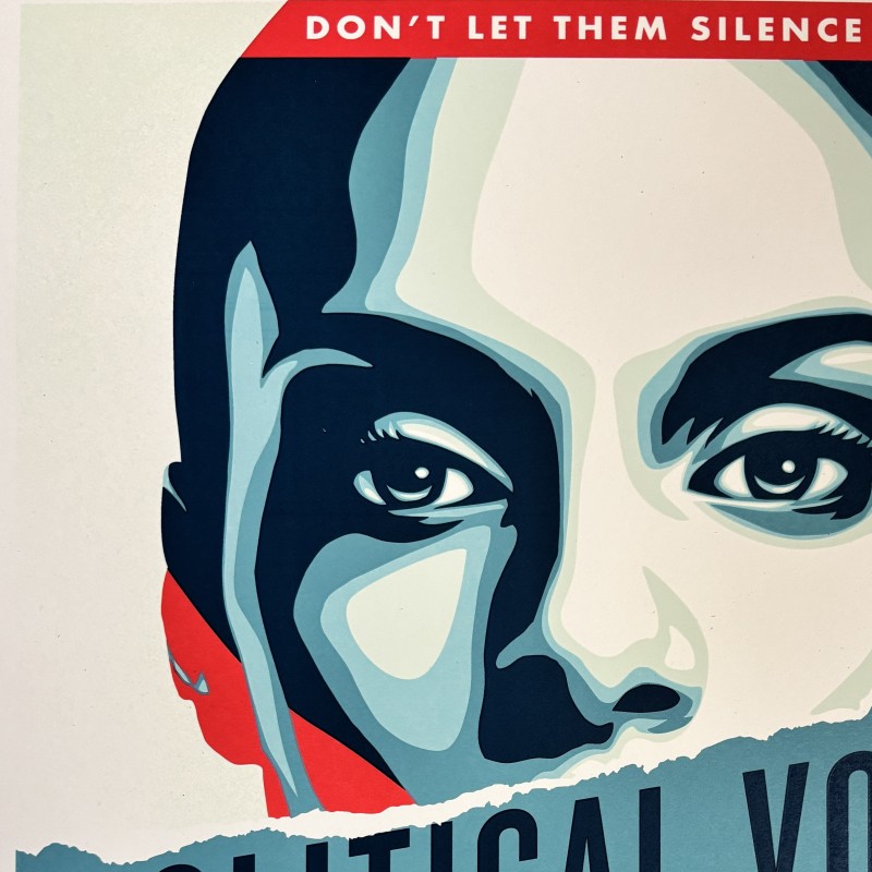 Political Voice Defend Democracy - artwork by Shepard Fairey OBEY