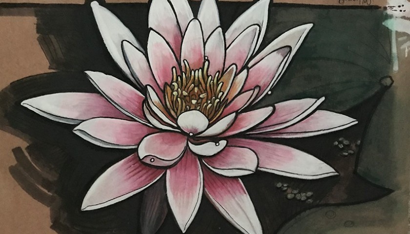 "Study of Lotus Flower, Koh Chang, Thailand" by Bradley Morgan Johnson