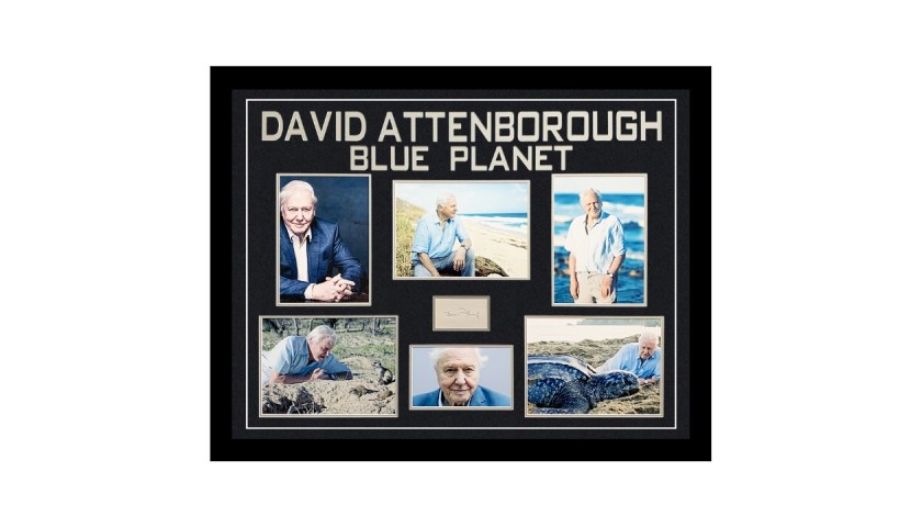 David Attenborough's Signed and Framed Photo Display - Planet Earth Tv