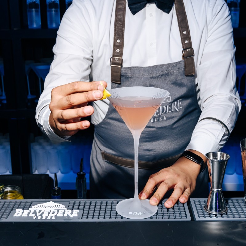 Mixology Experience for 6-8 People in Milan 