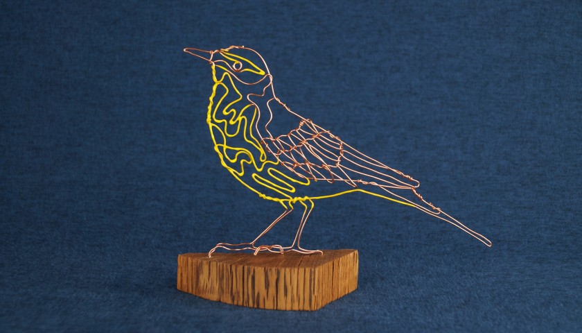 Wire Sculpture by Jane Tilley - Yellow Wagtail