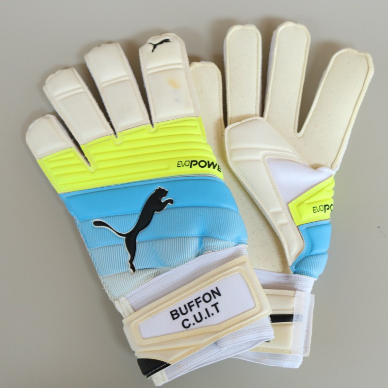 Buffon's Match Gloves