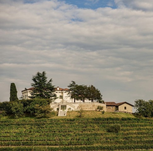 Wine Tourism Package for Two Torre Rosazza in Friuli