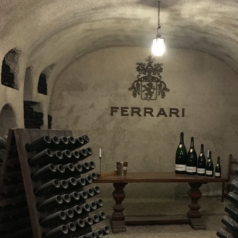 Visit Cantine Ferrari and lunch for four people at Restaurant Locanda Margon