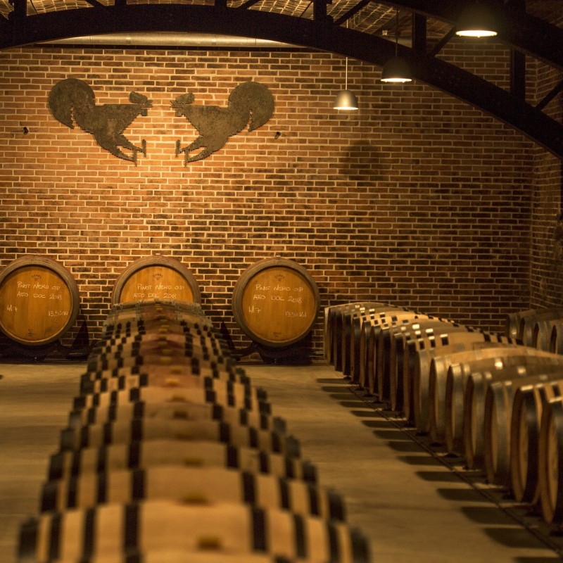 Tasting Voucher at Tenuta Mazzolino for Two - No Reserve