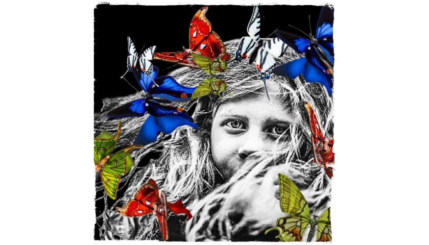 "Multicolor butterflies" by Mr Ogart