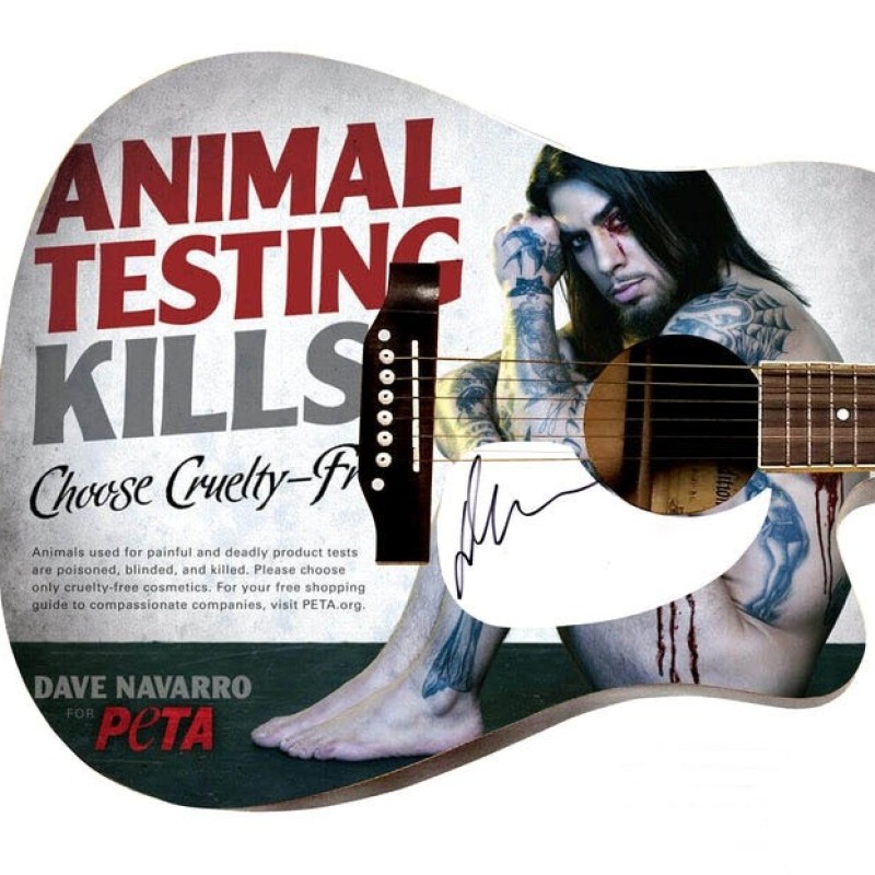 Dave Navarro of Jane's Addiction Signed Pickguard on a Custom PETA Signature Edition Acoustic Guitar