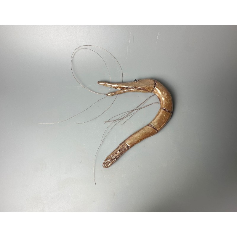 "Prawn (Gambero)" by Enrico David