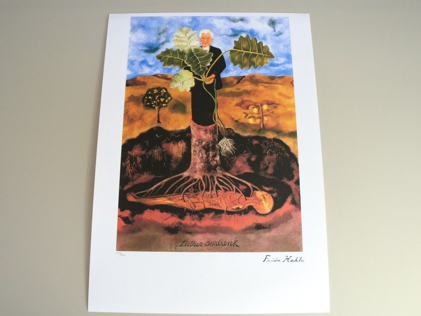 "Portrait of Luther Burbank" Offset Lithography by Frida Kahlo (replica)