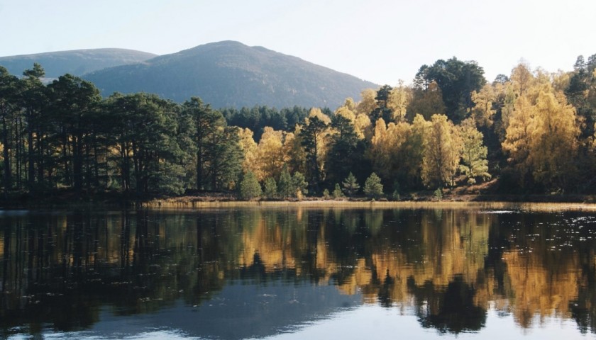Cairngorms National Park Experience for Two