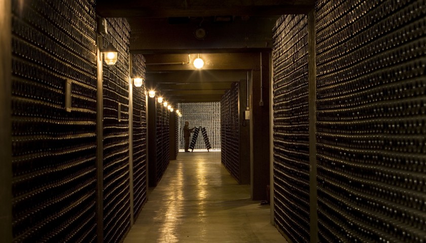 "Bello e Buono" Tour of Ferrari Wine Cellars 