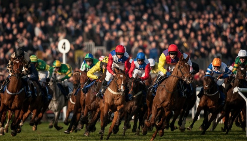 Cheltenham Festival Package Including Badges for Two and Piece of Racing Memorabilia