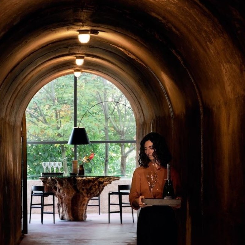 Bellavista Experience: An Exclusive Journey into the Heart of Franciacorta