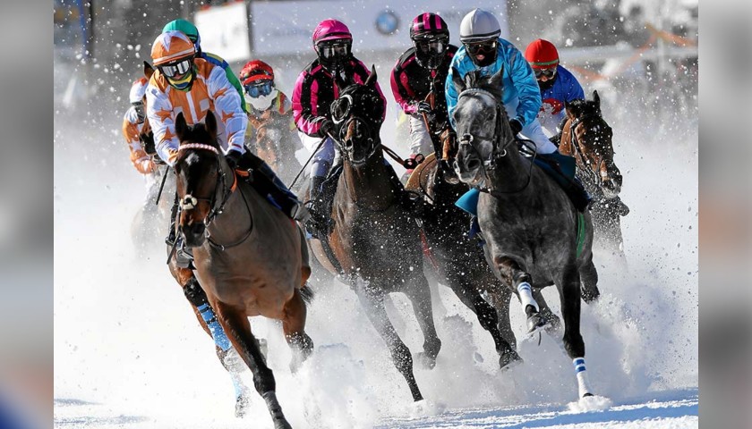 VIP White Turf Race Experience in St Moritz for 2
