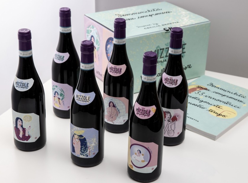 Pasqua Vini - Cartone con 6 Valpolicella doc Superiore Mizzole - “Femminilità senza compromessi” Limited edition